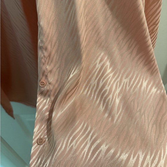 Pink Zebra Striped Button Down Shirt - Picture 2 of 4